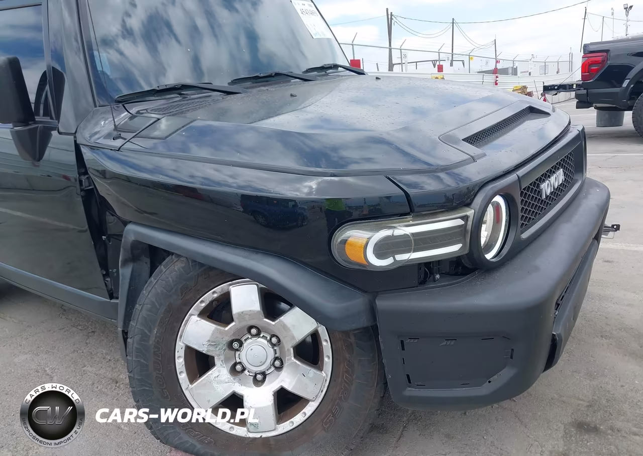 2010 Toyota Fj Cruiser VIN:JTEBU4BF3AK079798 - 6