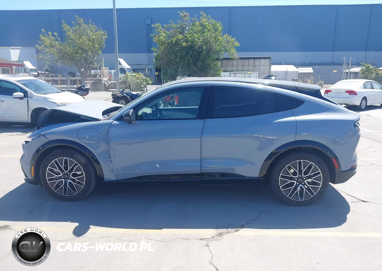 2024 Ford Mustang Mach-E Premium VIN:3FMTK3R40RMA38297 - 15