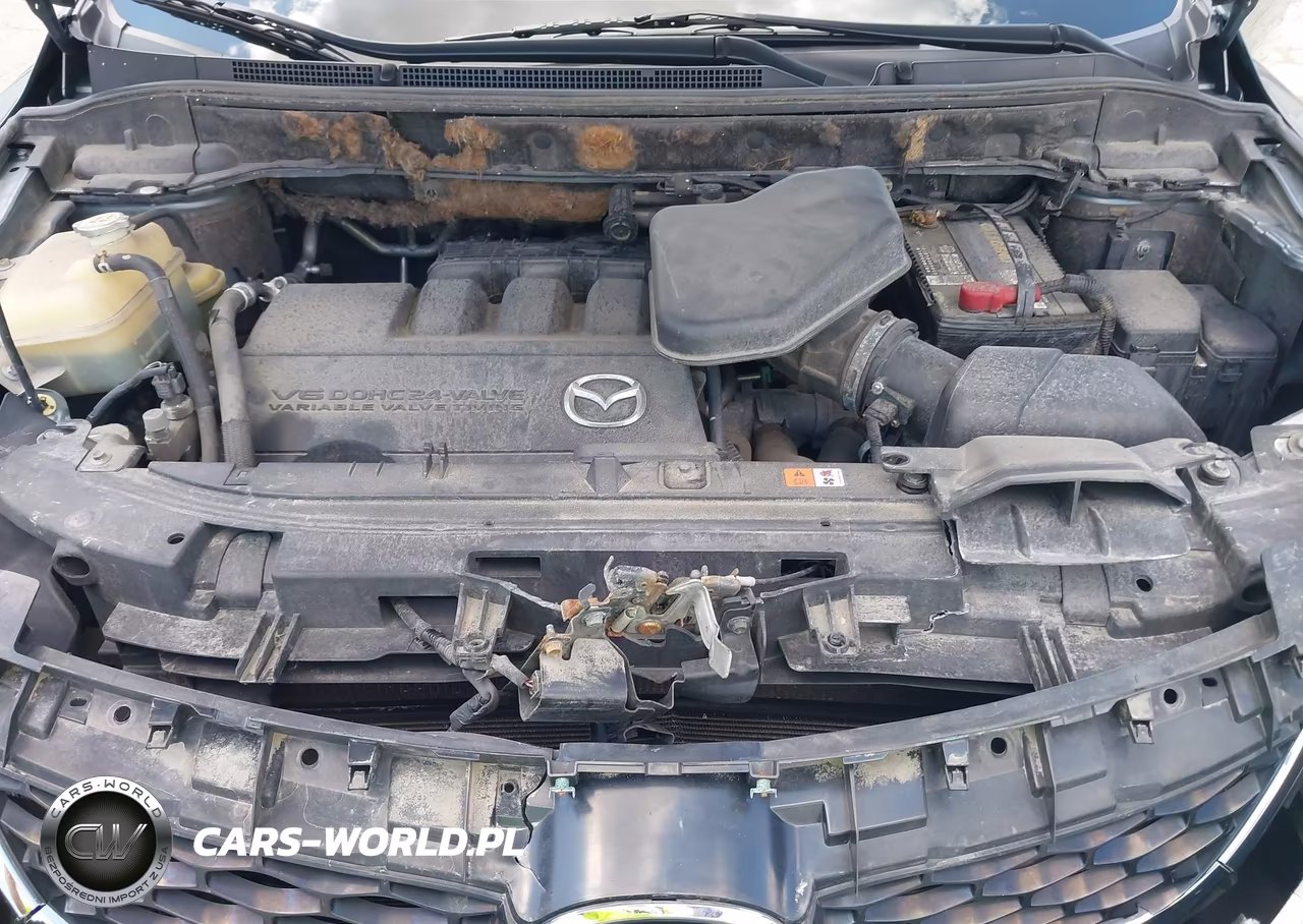 2012 Mazda Cx-9 Touring VIN:JM3TB3CA8C0338691 - 10