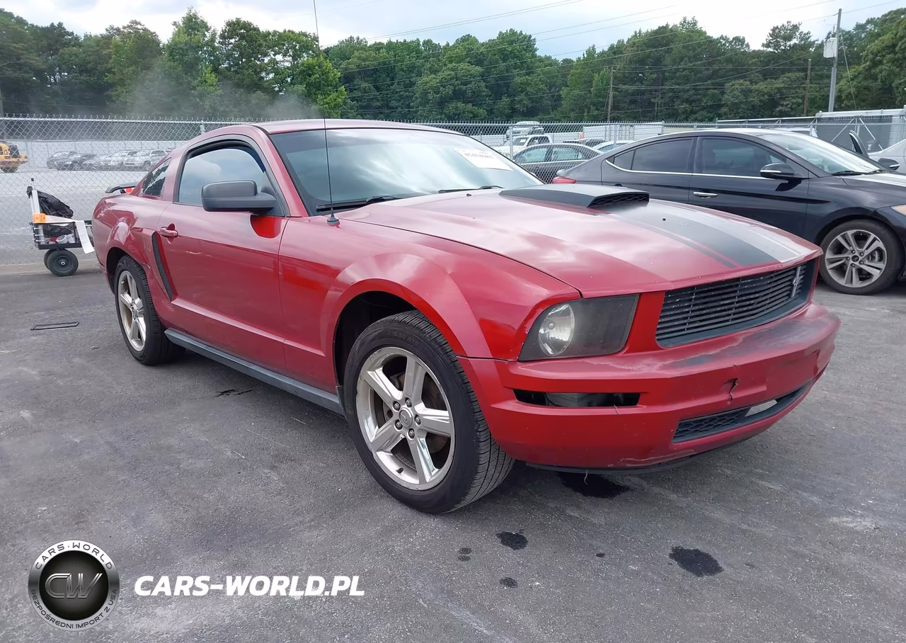 2008 Ford Mustang V6 Deluxe-V6 Premium VIN:1ZVHT80N185185661 - 13
