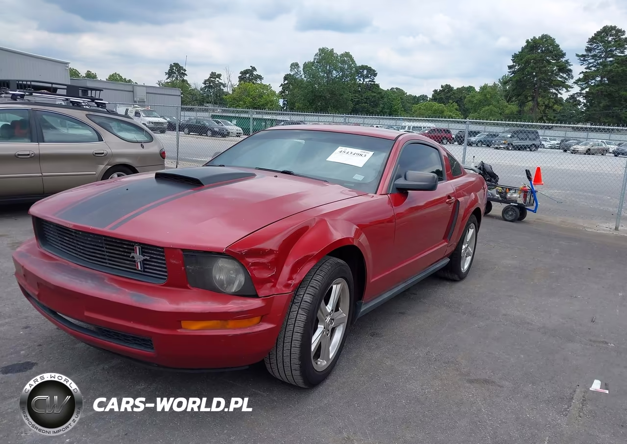 2008 Ford Mustang V6 Deluxe-V6 Premium VIN:1ZVHT80N185185661 - 2