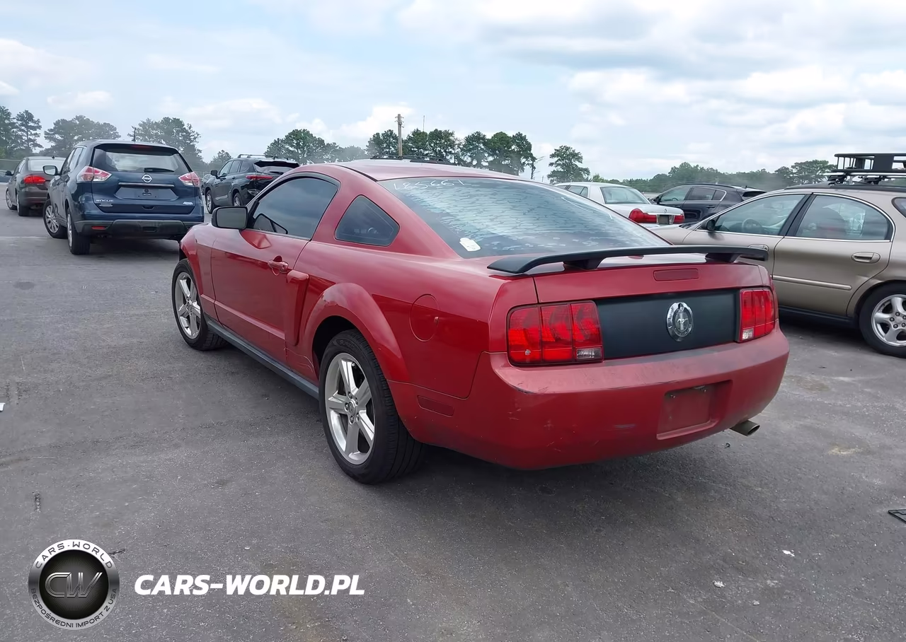 2008 Ford Mustang V6 Deluxe-V6 Premium VIN:1ZVHT80N185185661 - 3