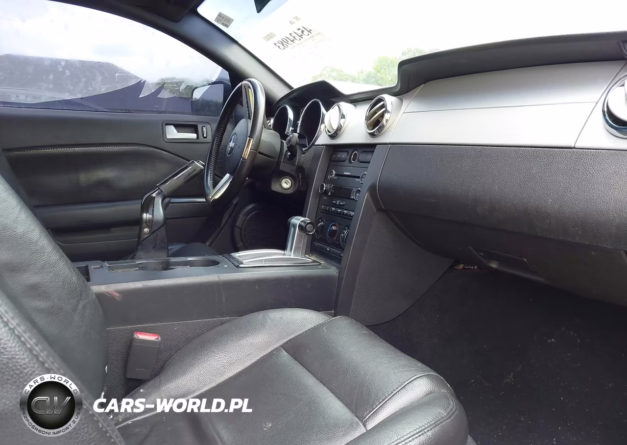 2008 Ford Mustang V6 Deluxe-V6 Premium VIN:1ZVHT80N185185661 - 5