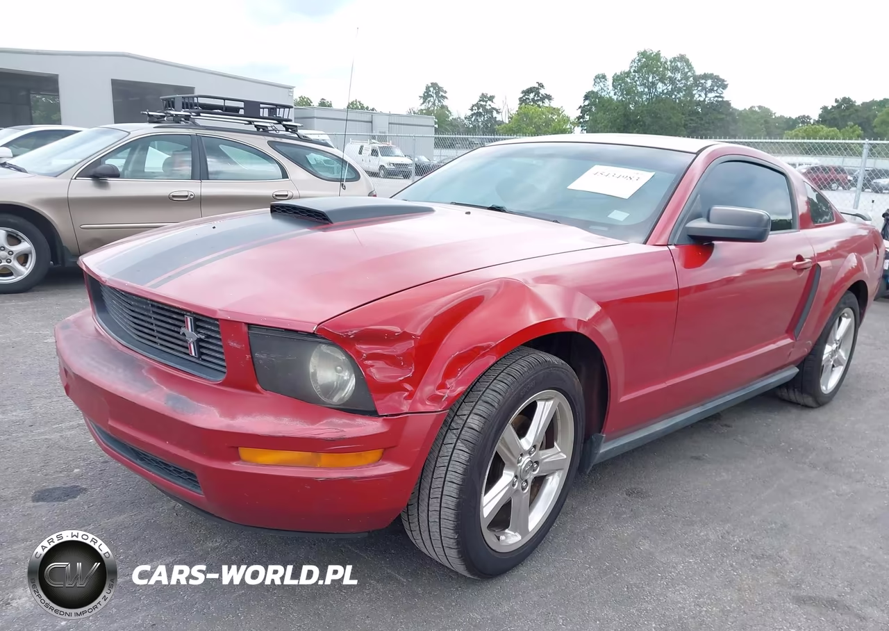 2008 Ford Mustang V6 Deluxe-V6 Premium VIN:1ZVHT80N185185661 - 6