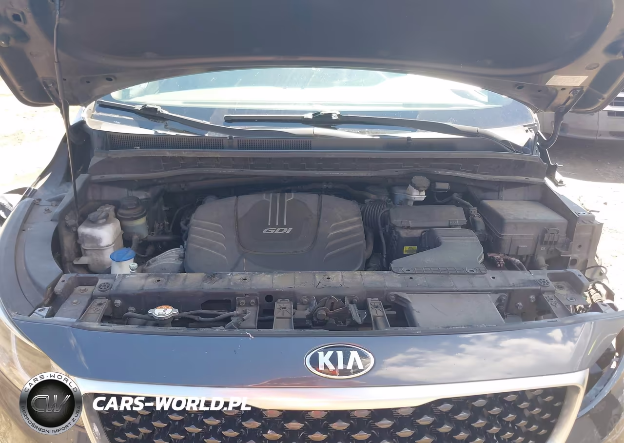 2017 Kia Sedona Lx VIN:KNDMB5C18H6253332 - 10