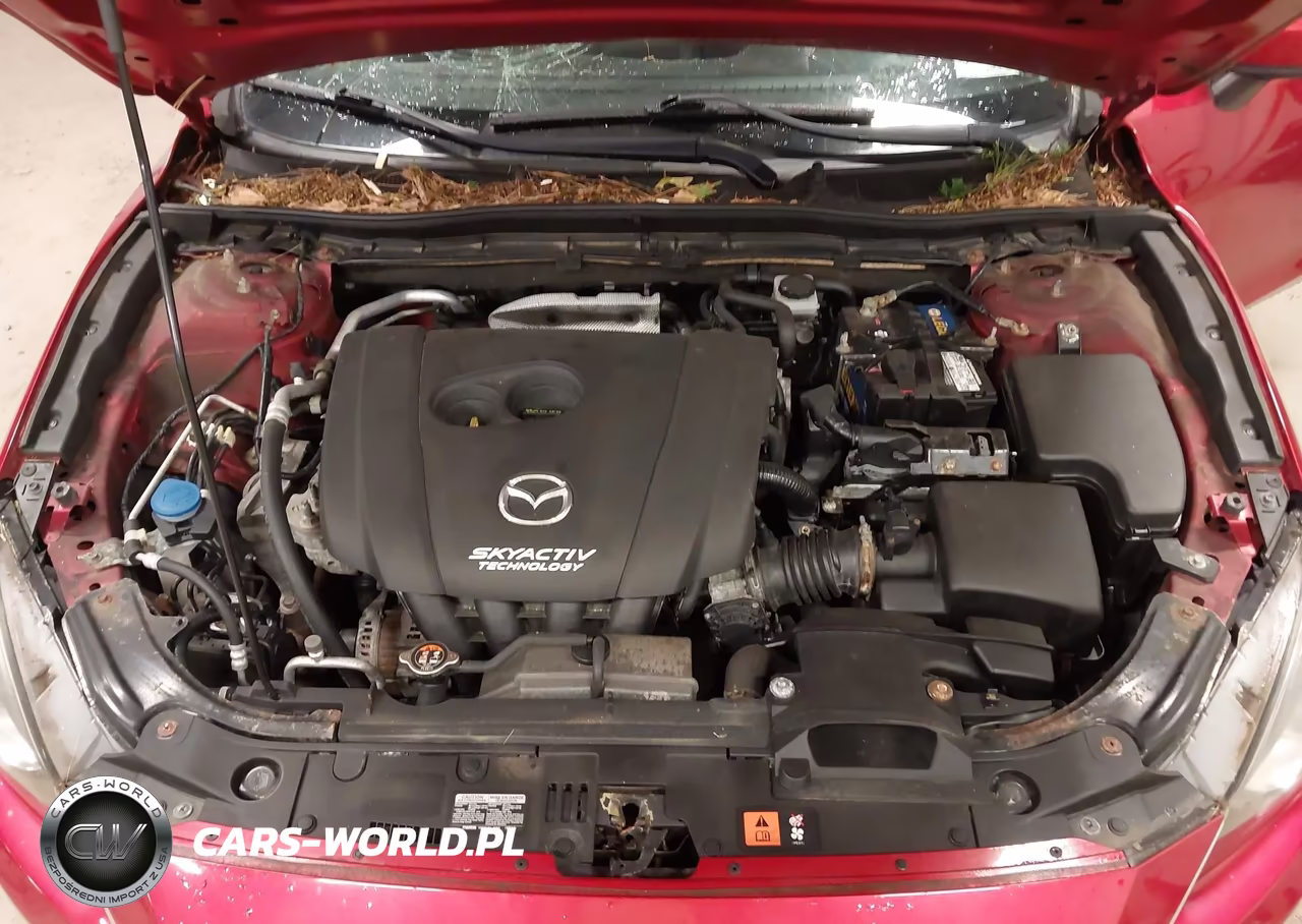 2015 Mazda Mazda3 I Touring VIN:JM1BM1V75F1224697 - 10