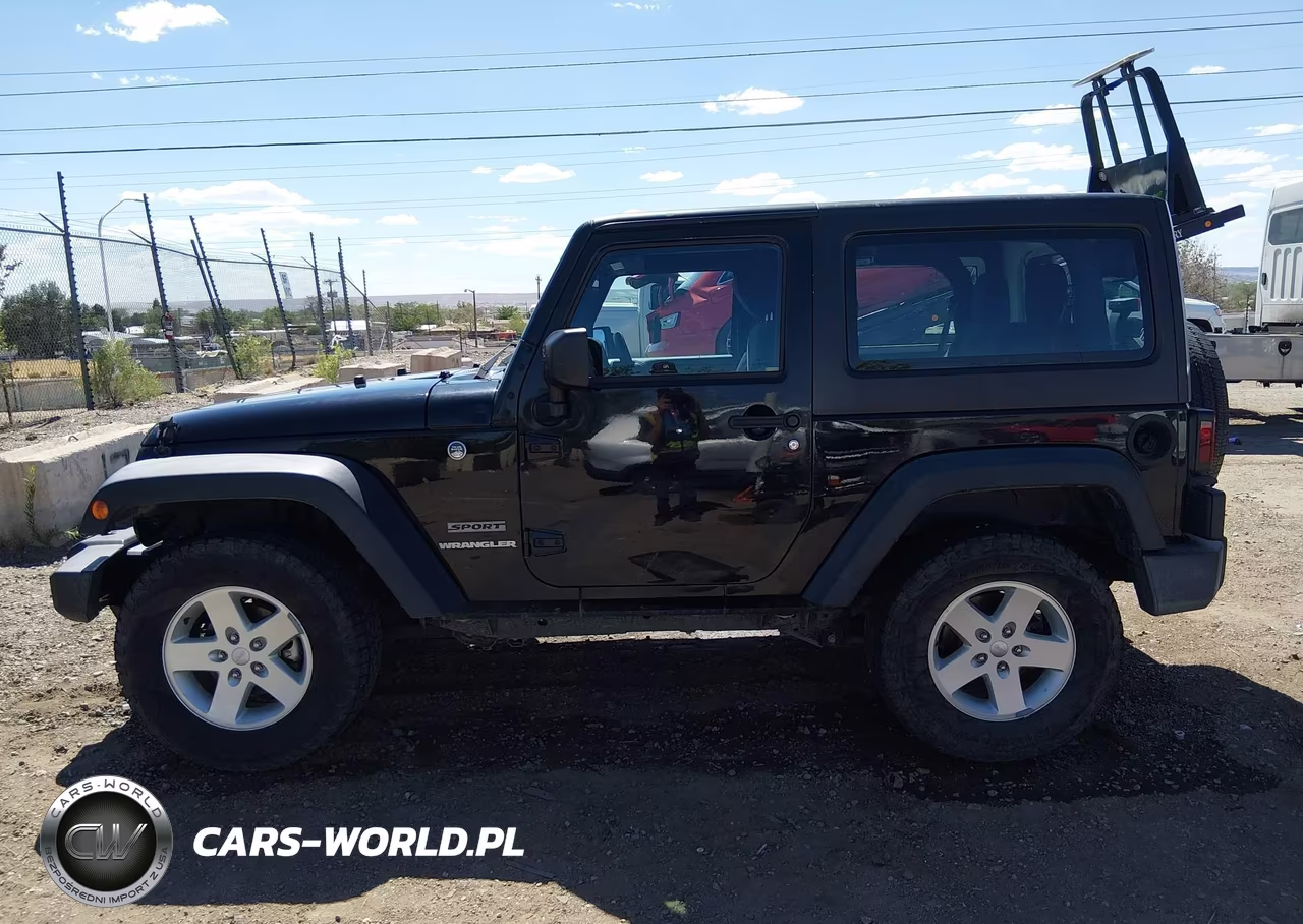 2017 Jeep Wrangler Sport 4X4 VIN:1C4AJWAG9HL644381 - 14