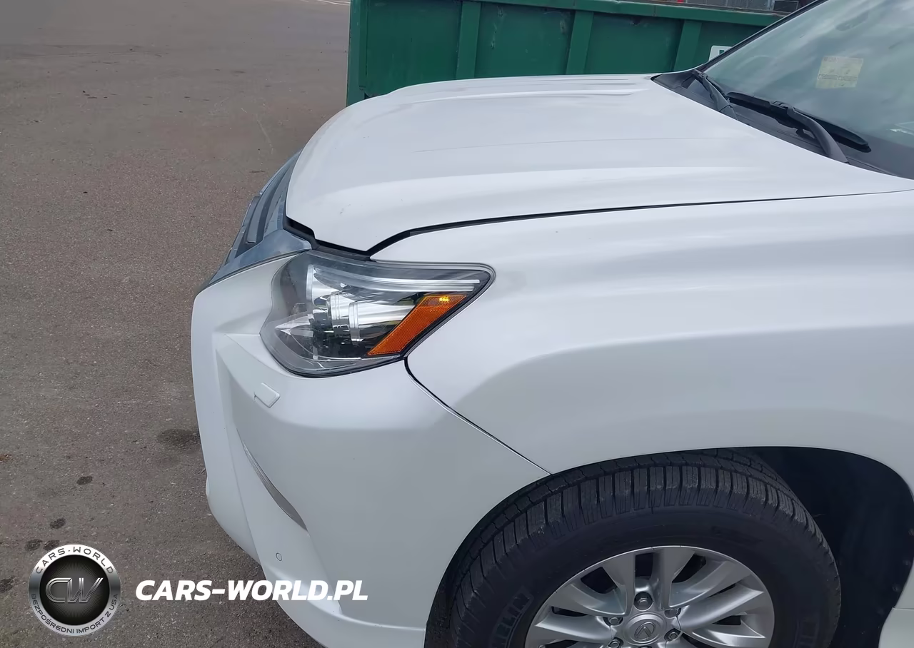 2017 Lexus Gx 460 VIN:JTJBM7FX4H5161666 - 18