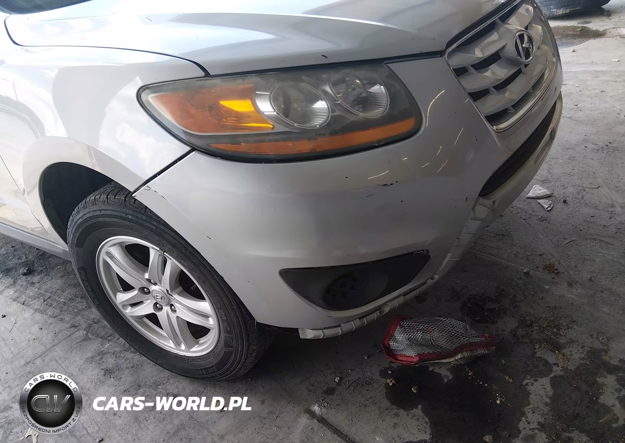 2010 Hyundai Santa Fe Gls VIN:5NMSG3AB7AH351236 - 14