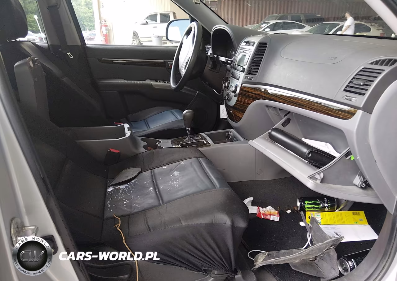 2010 Hyundai Santa Fe Gls VIN:5NMSG3AB7AH351236 - 5