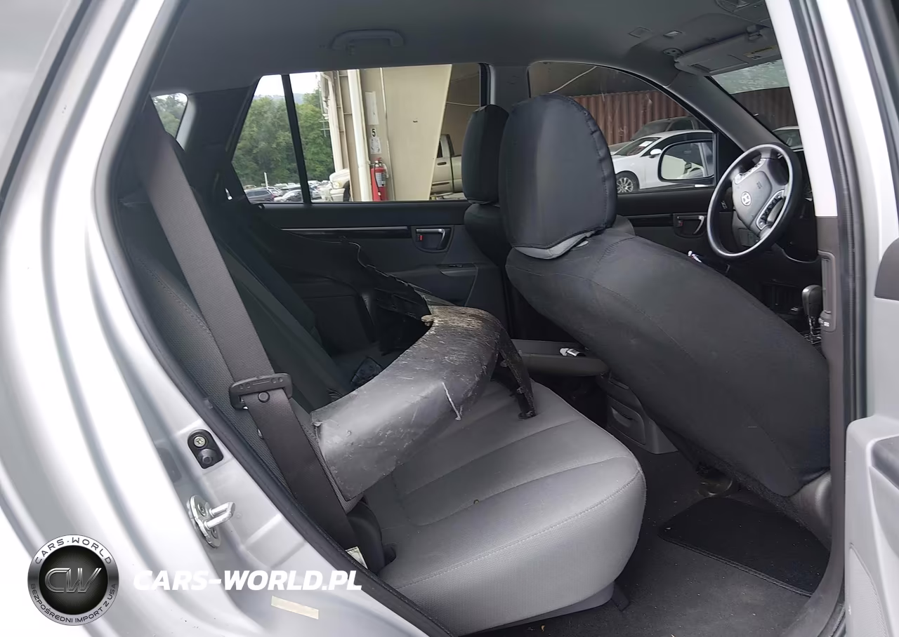 2010 Hyundai Santa Fe Gls VIN:5NMSG3AB7AH351236 - 8