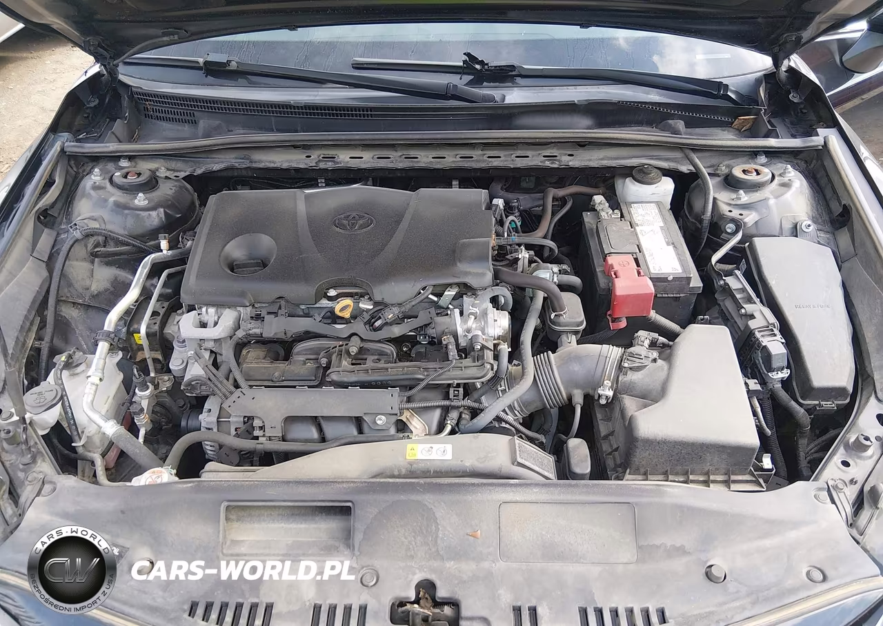 2021 Toyota Camry Le VIN:4T1C11AK9MU442365 - 10