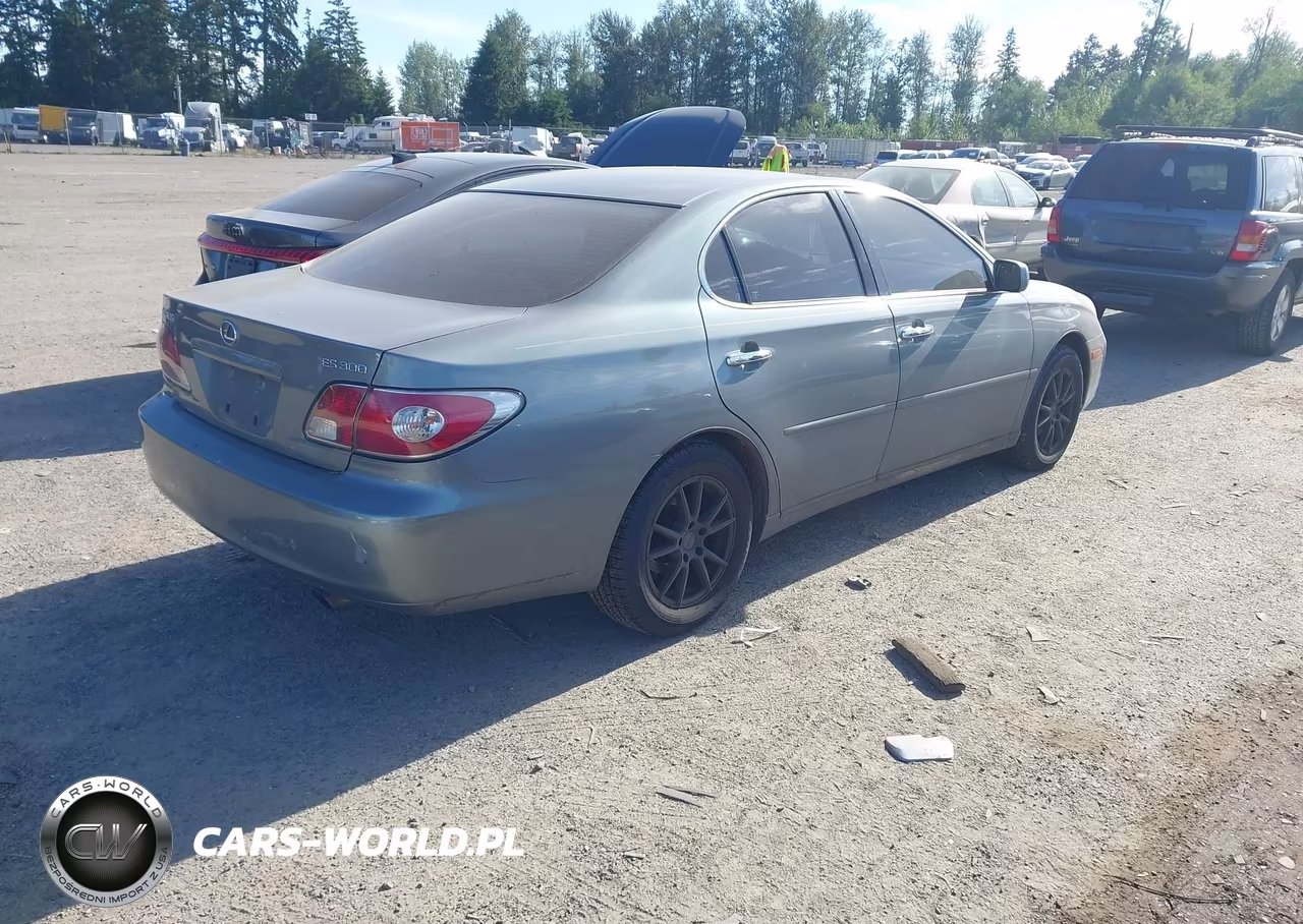 2003 Lexus Es 300 VIN:JTHBF30G030137397 - 4