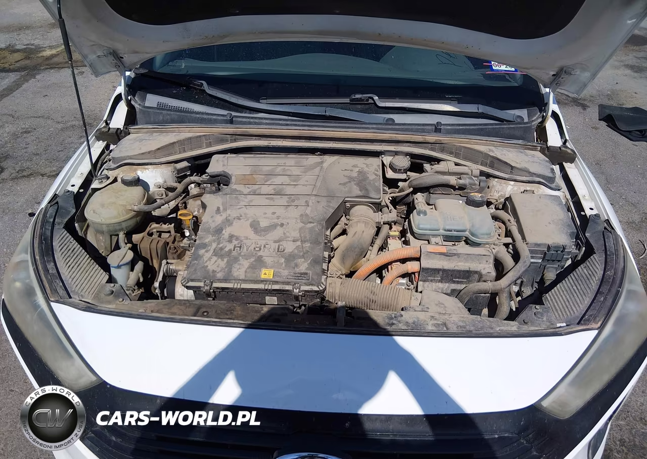2017 Hyundai Ioniq Hybrid Sel VIN:KMHC75LC6HU030664 - 10