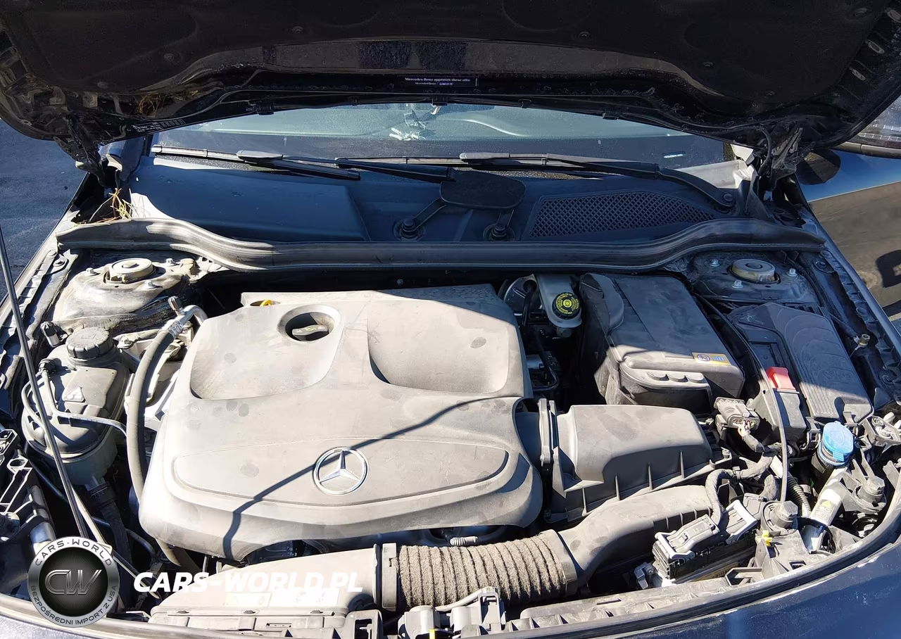 2014 Mercedes-Benz Cla 250 VIN:WDDSJ4EB5EN119993 - 10