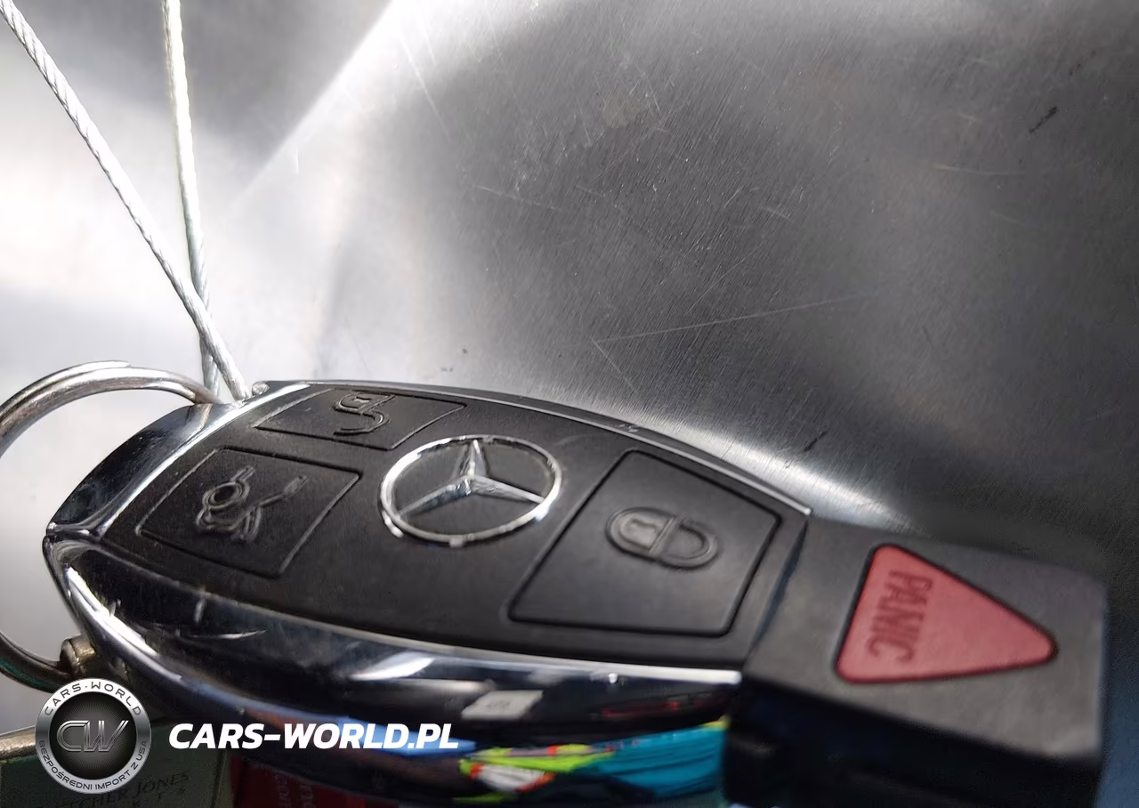 2014 Mercedes-Benz Cla 250 VIN:WDDSJ4EB5EN119993 - 11