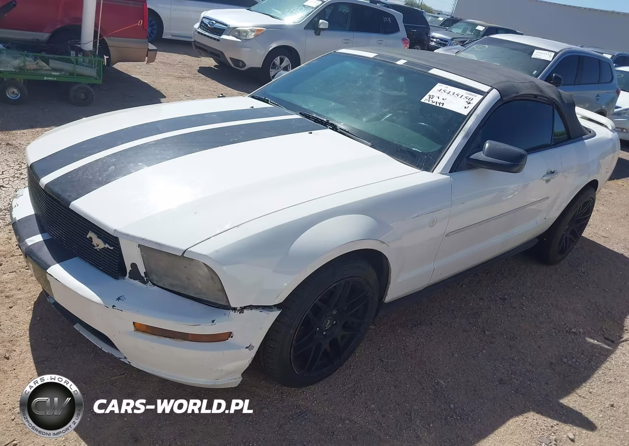 2006 Ford Mustang V6 VIN:1ZVFT84N965190153 - 2