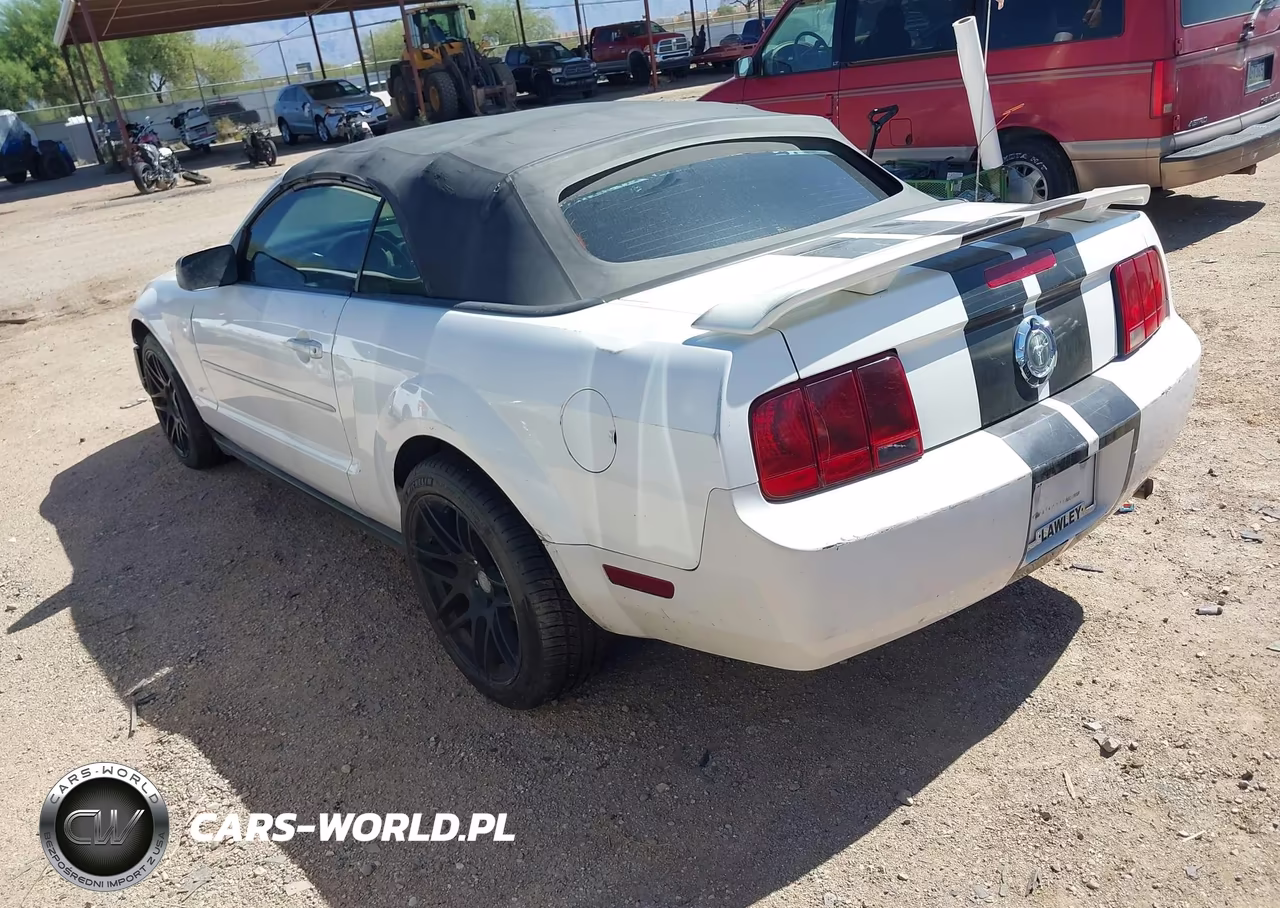 2006 Ford Mustang V6 VIN:1ZVFT84N965190153 - 3