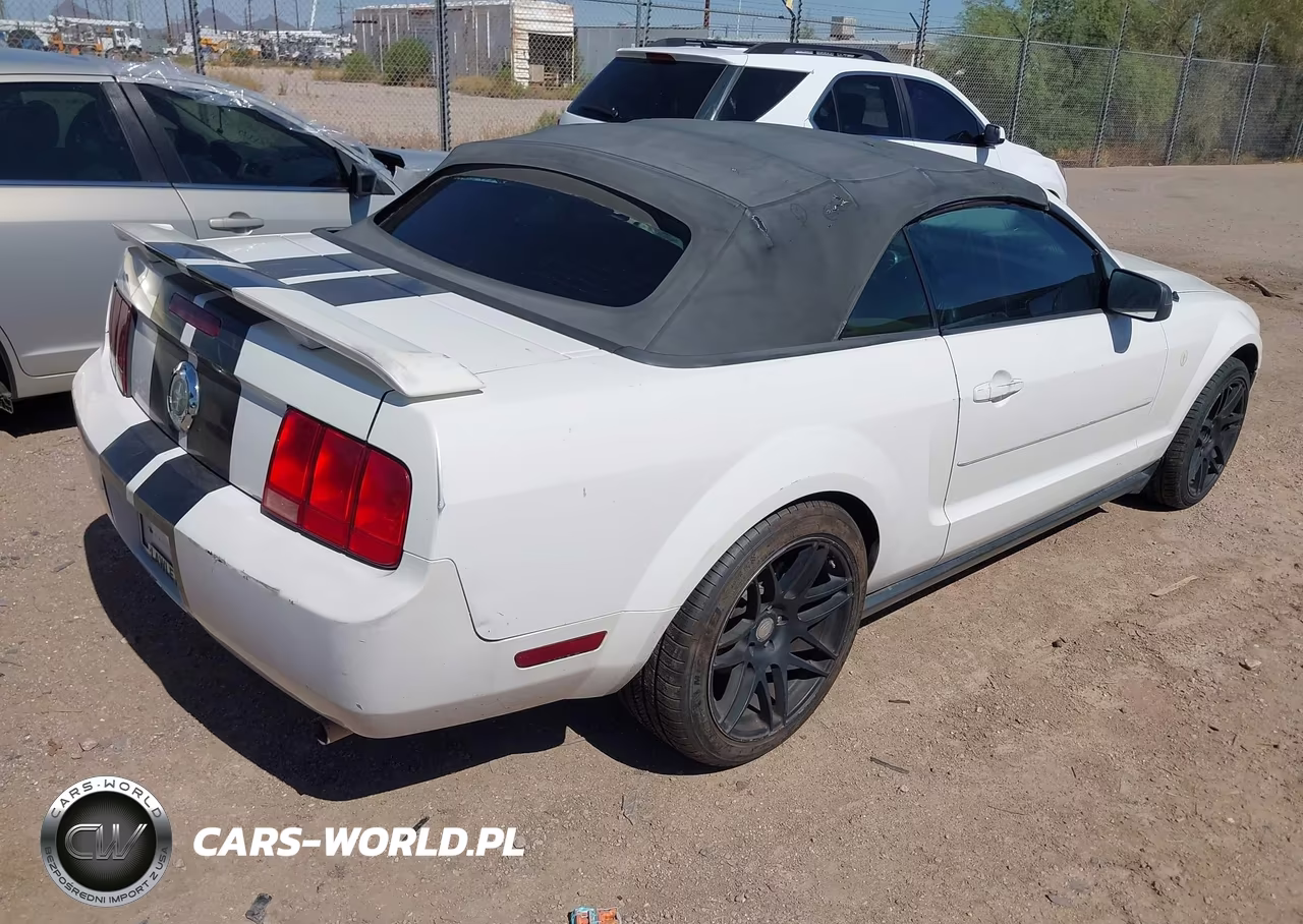 2006 Ford Mustang V6 VIN:1ZVFT84N965190153 - 4