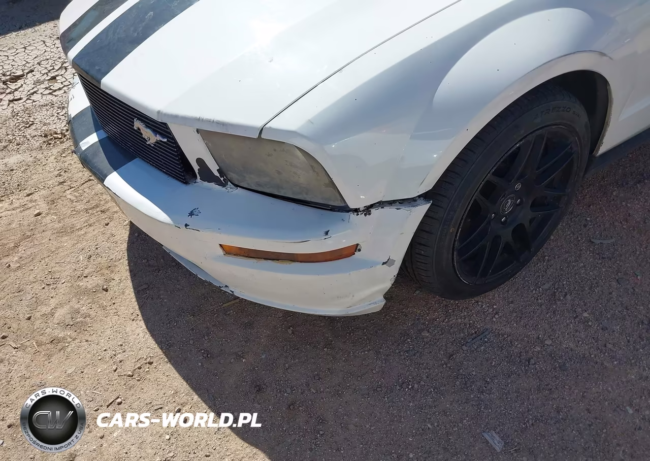 2006 Ford Mustang V6 VIN:1ZVFT84N965190153 - 6