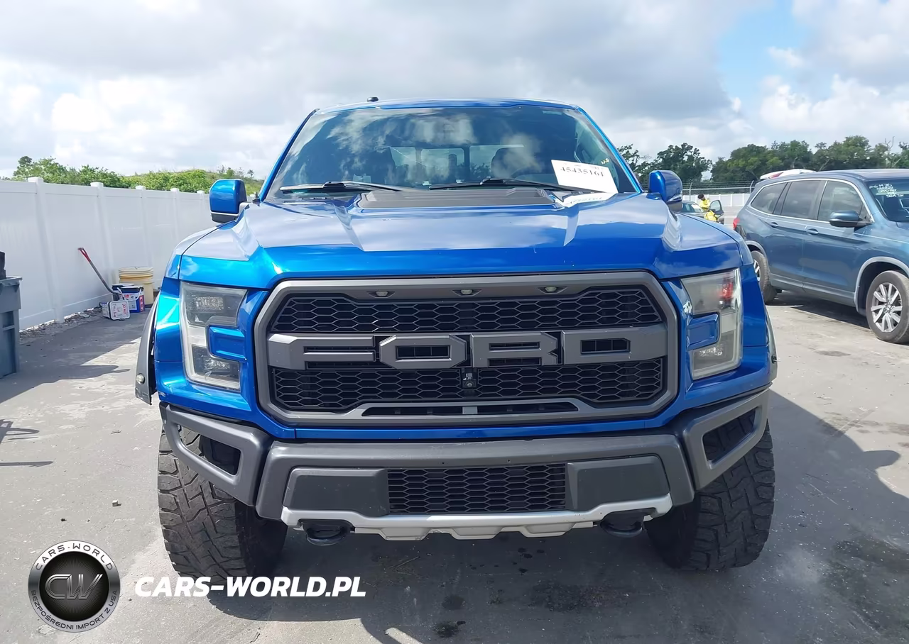 2018 Ford F-150 Raptor VIN:1FTFW1RG2JFA69382 - 12
