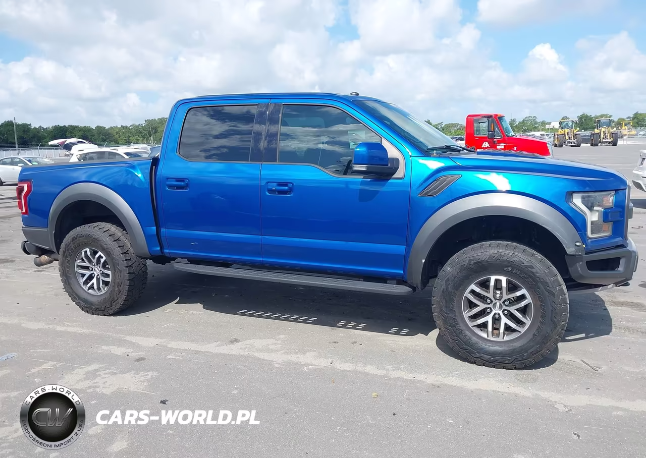 2018 Ford F-150 Raptor VIN:1FTFW1RG2JFA69382 - 13