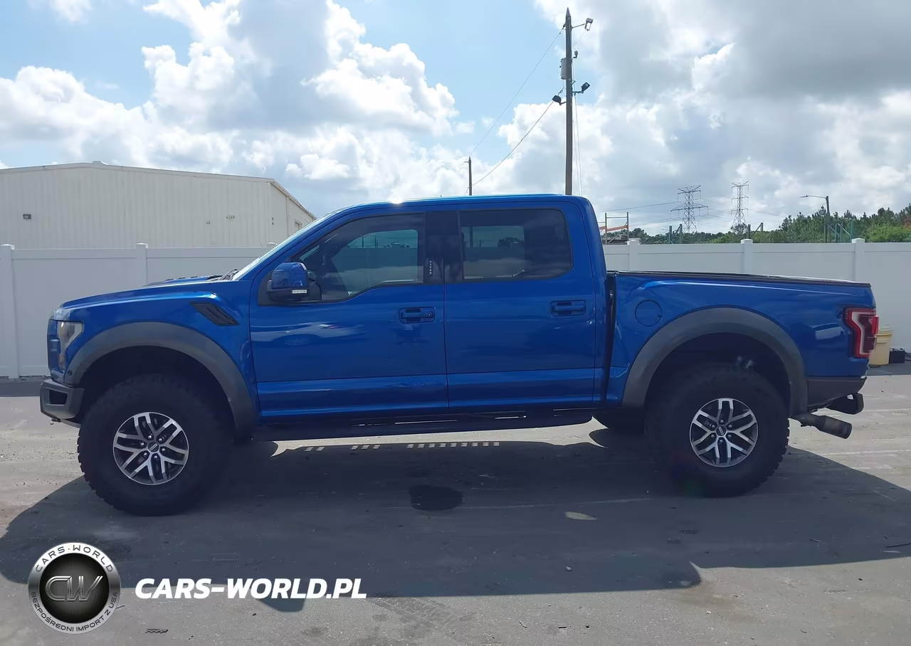 2018 Ford F-150 Raptor VIN:1FTFW1RG2JFA69382 - 14