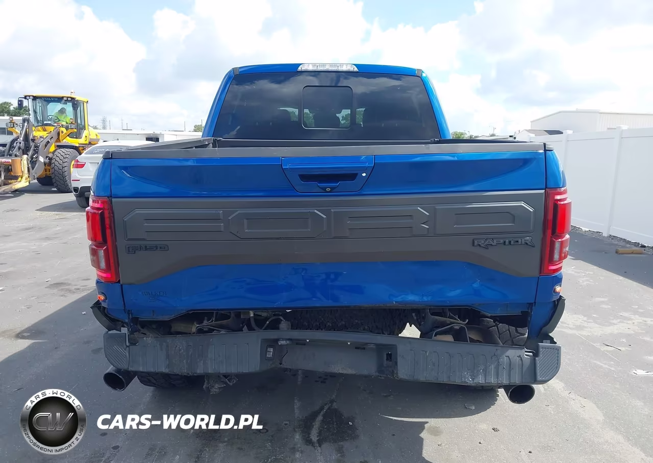 2018 Ford F-150 Raptor VIN:1FTFW1RG2JFA69382 - 16