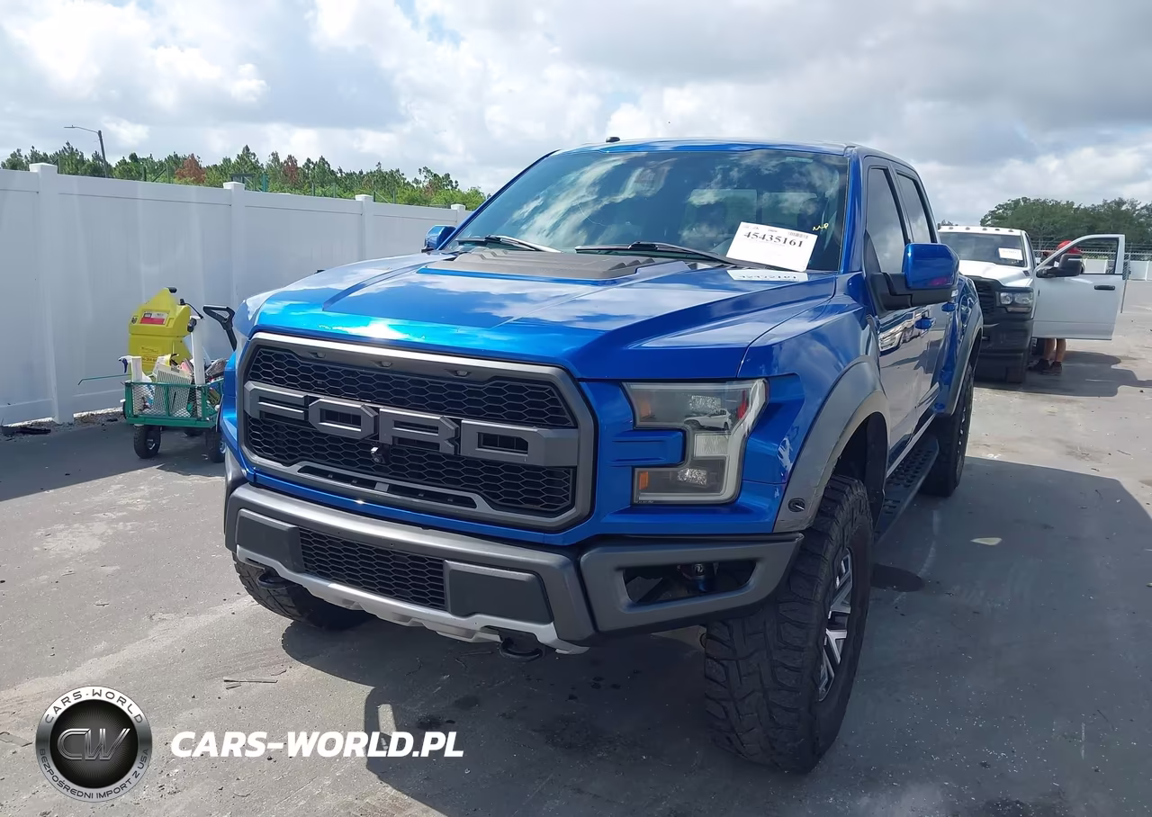 2018 Ford F-150 Raptor VIN:1FTFW1RG2JFA69382 - 2