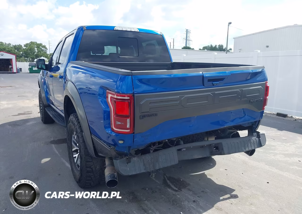 2018 Ford F-150 Raptor VIN:1FTFW1RG2JFA69382 - 3