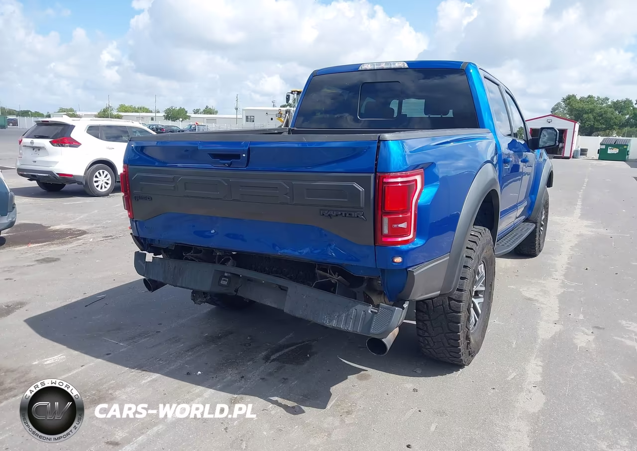 2018 Ford F-150 Raptor VIN:1FTFW1RG2JFA69382 - 4