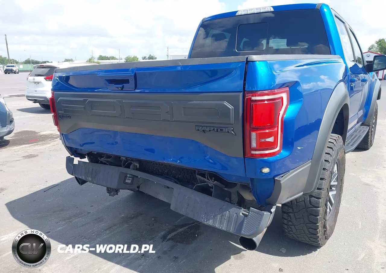 2018 Ford F-150 Raptor VIN:1FTFW1RG2JFA69382 - 6