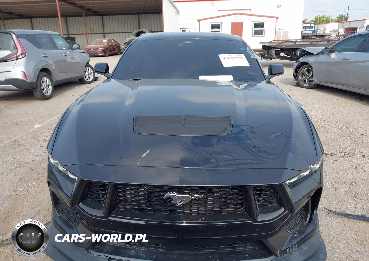 2024 Ford Mustang Gt Premium Fastback VIN:1FA6P8CF2R5422412 - 13