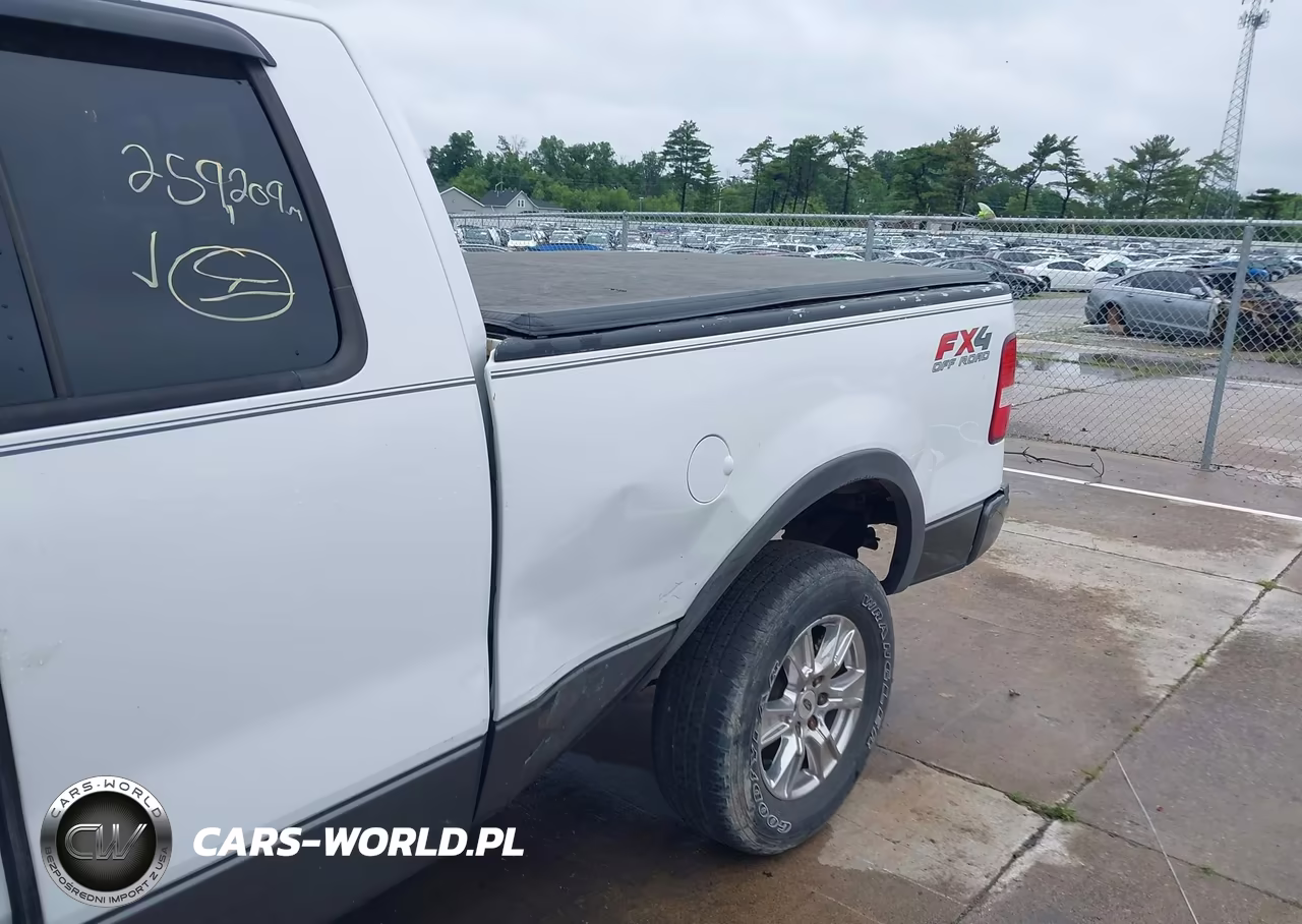 2004 Ford F-150 Fx4-Lariat-Xl-Xlt VIN:1FTPX14504NC04117 - 6