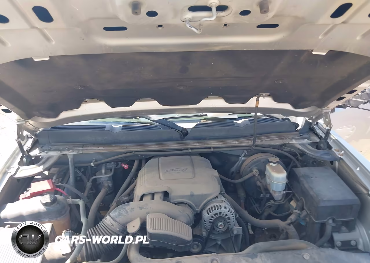 2010 Chevrolet Silverado 1500 Lt VIN:3GCRCSEA8AG205168 - 10