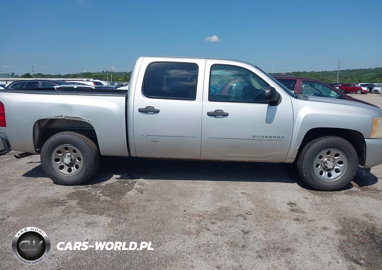 2010 Chevrolet Silverado 1500 Lt VIN:3GCRCSEA8AG205168 - 13