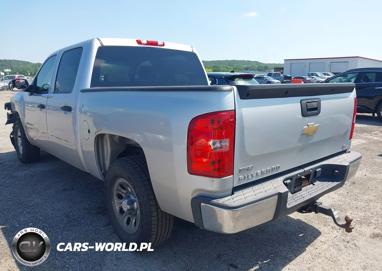 2010 Chevrolet Silverado 1500 Lt VIN:3GCRCSEA8AG205168 - 3