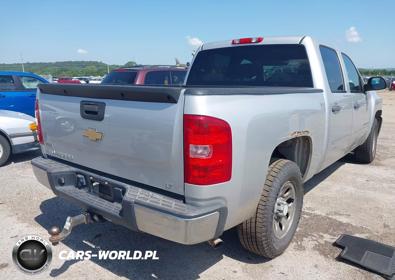 2010 Chevrolet Silverado 1500 Lt VIN:3GCRCSEA8AG205168 - 4