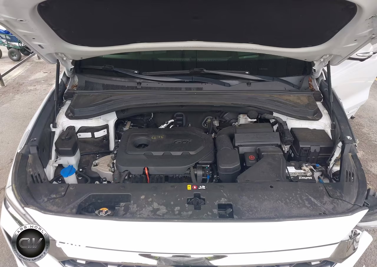 2020 Hyundai Santa Fe Limited VIN:5NMS5CAD6LH146310 - 10