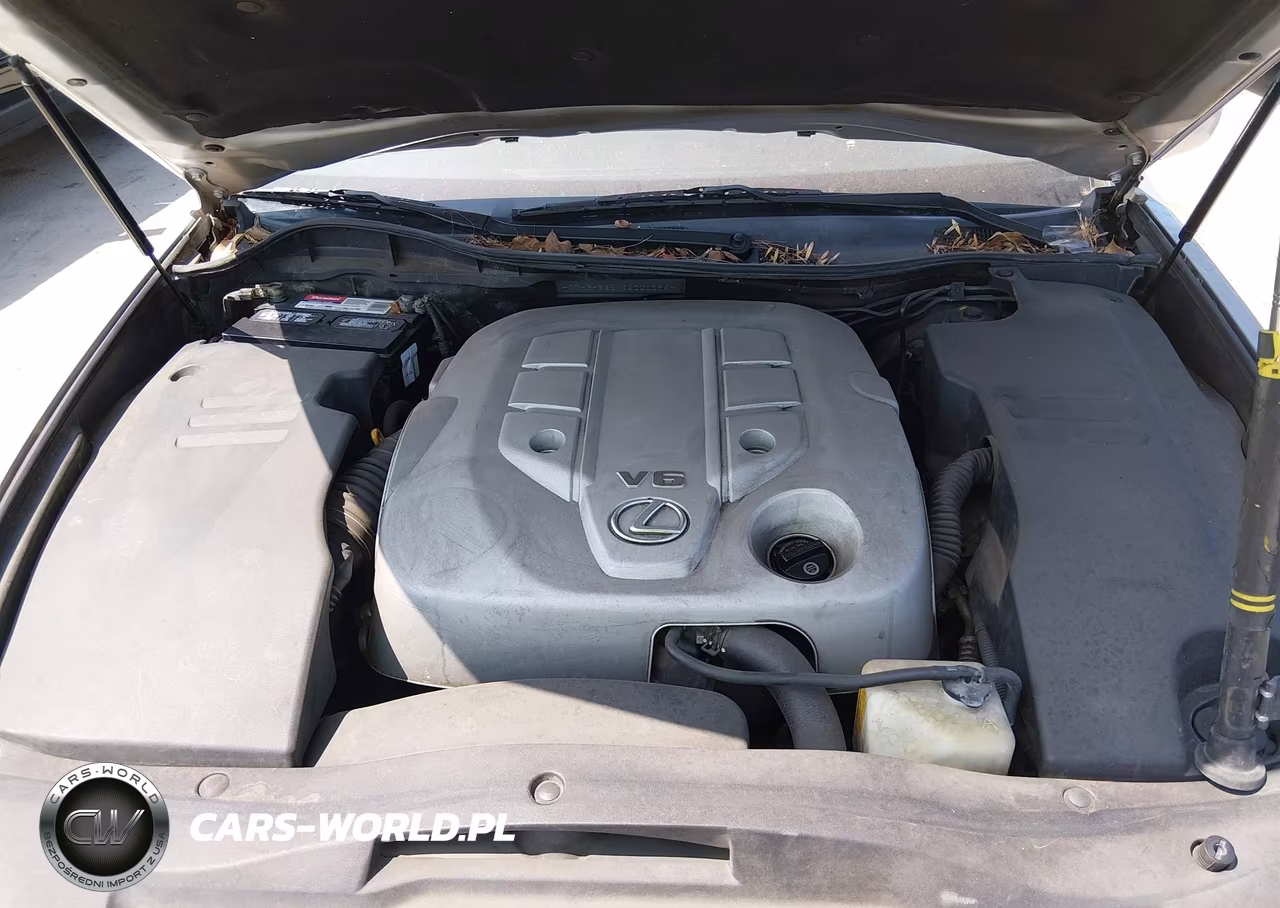 2006 Lexus Gs 300 VIN:JTHBH96S165020086 - 10