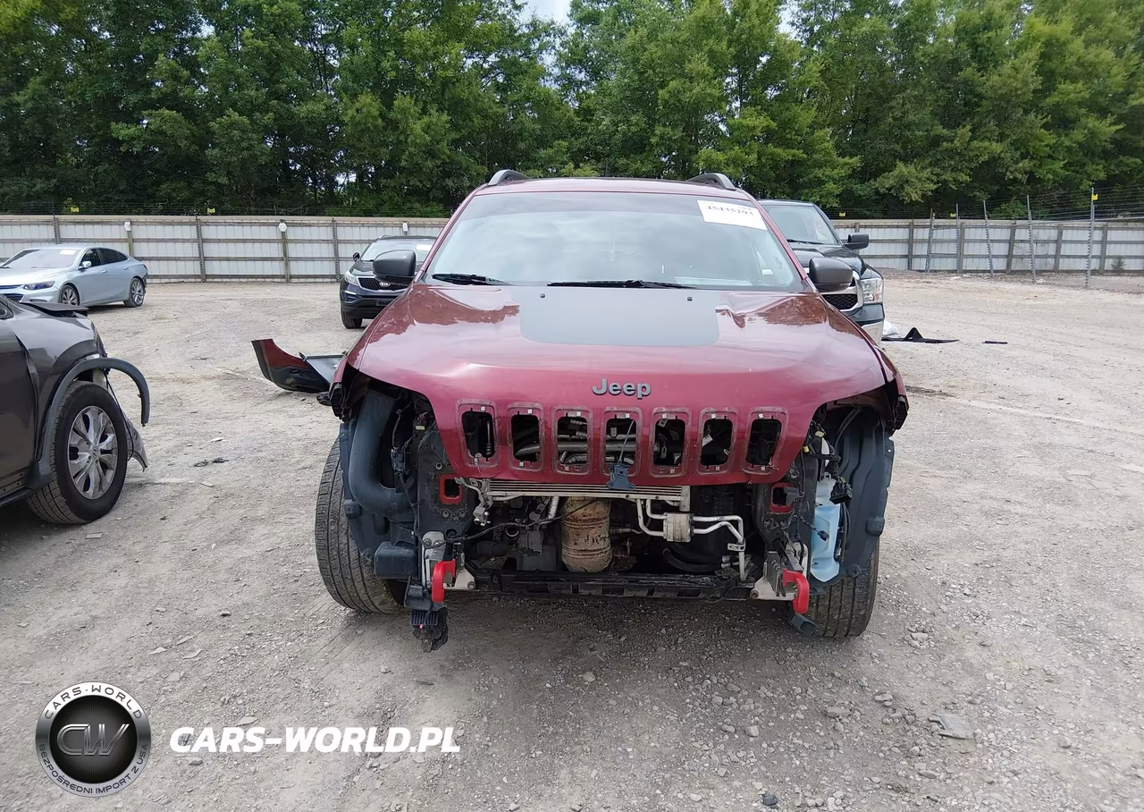 2019 Jeep Cherokee Trailhawk 4X4 VIN:1C4PJMBX9KD198148 - 6
