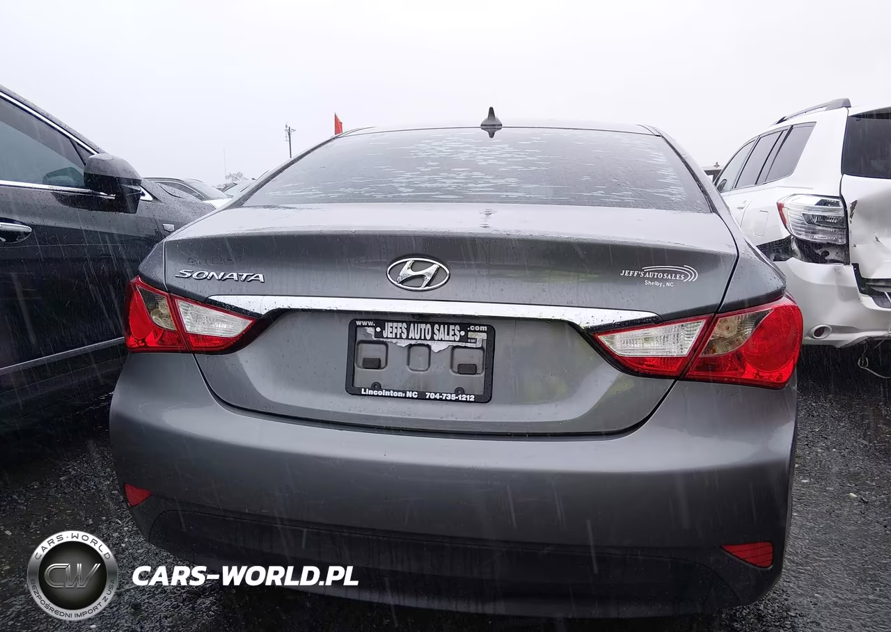 2014 Hyundai Sonata Gls VIN:5NPEB4AC9EH815453 - 16