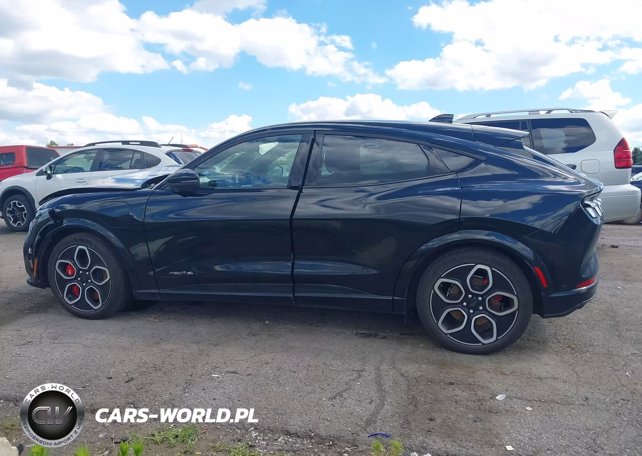 2024 Ford Mustang Mach-E Gt VIN:3FMTK4SX7RMA44219 - 14