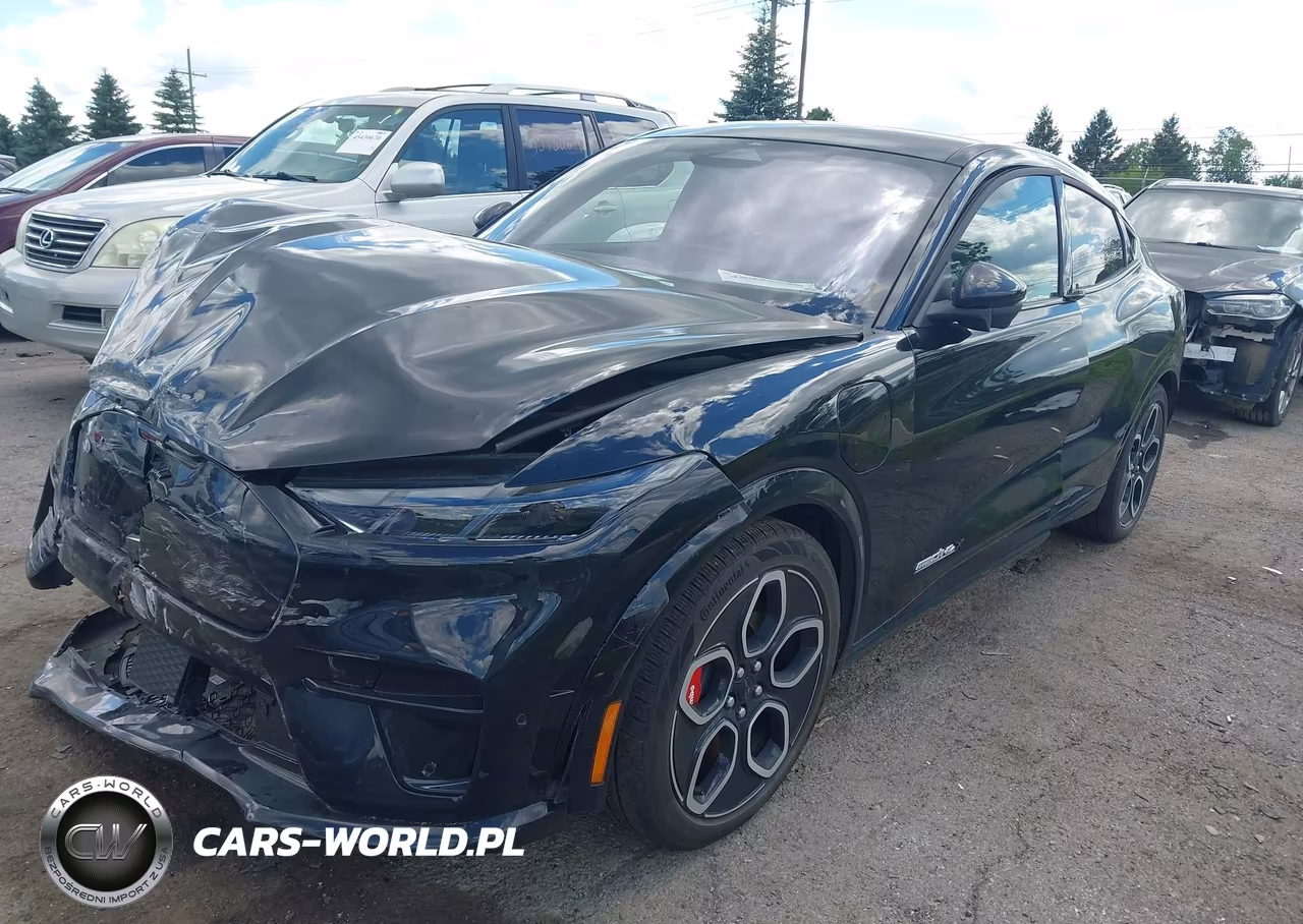2024 Ford Mustang Mach-E Gt VIN:3FMTK4SX7RMA44219 - 2