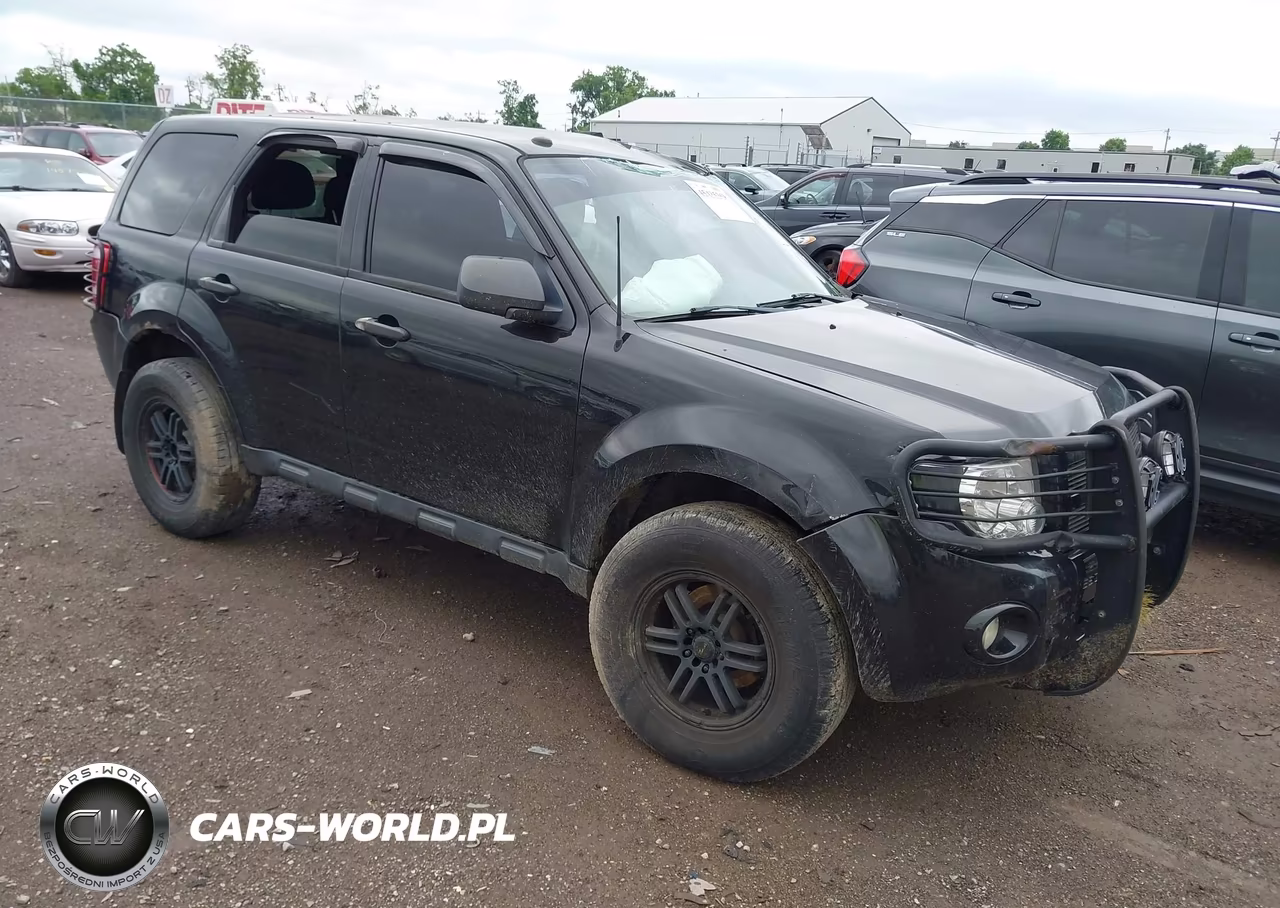 2011 Ford Escape Xlt
