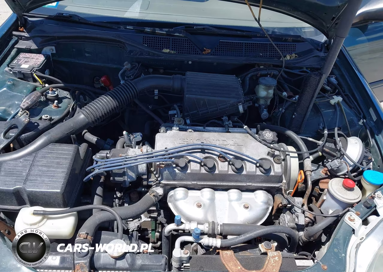1998 Honda Civic Lx VIN:2HGEJ6674WH561706 - 10