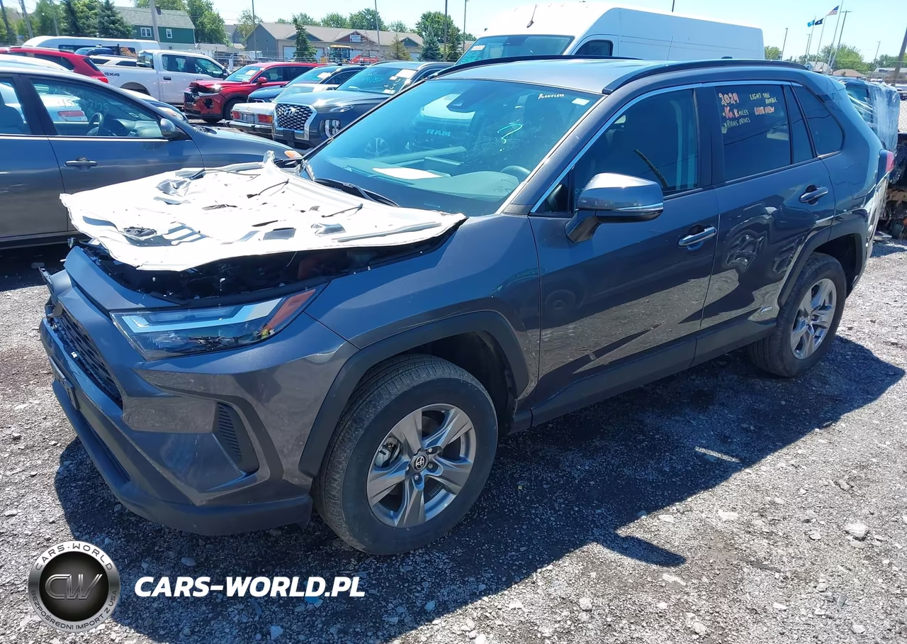 2024 Toyota Rav4 Hybrid Xle VIN:4T3RWRFV5RU142978 - 2