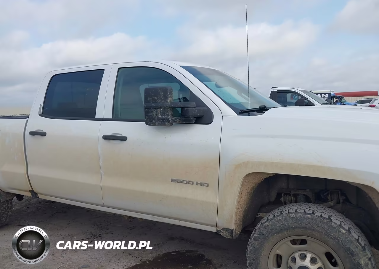 2019 Chevrolet Silverado 2500Hd Wt VIN:1GC1KREG7KF280864 - 13