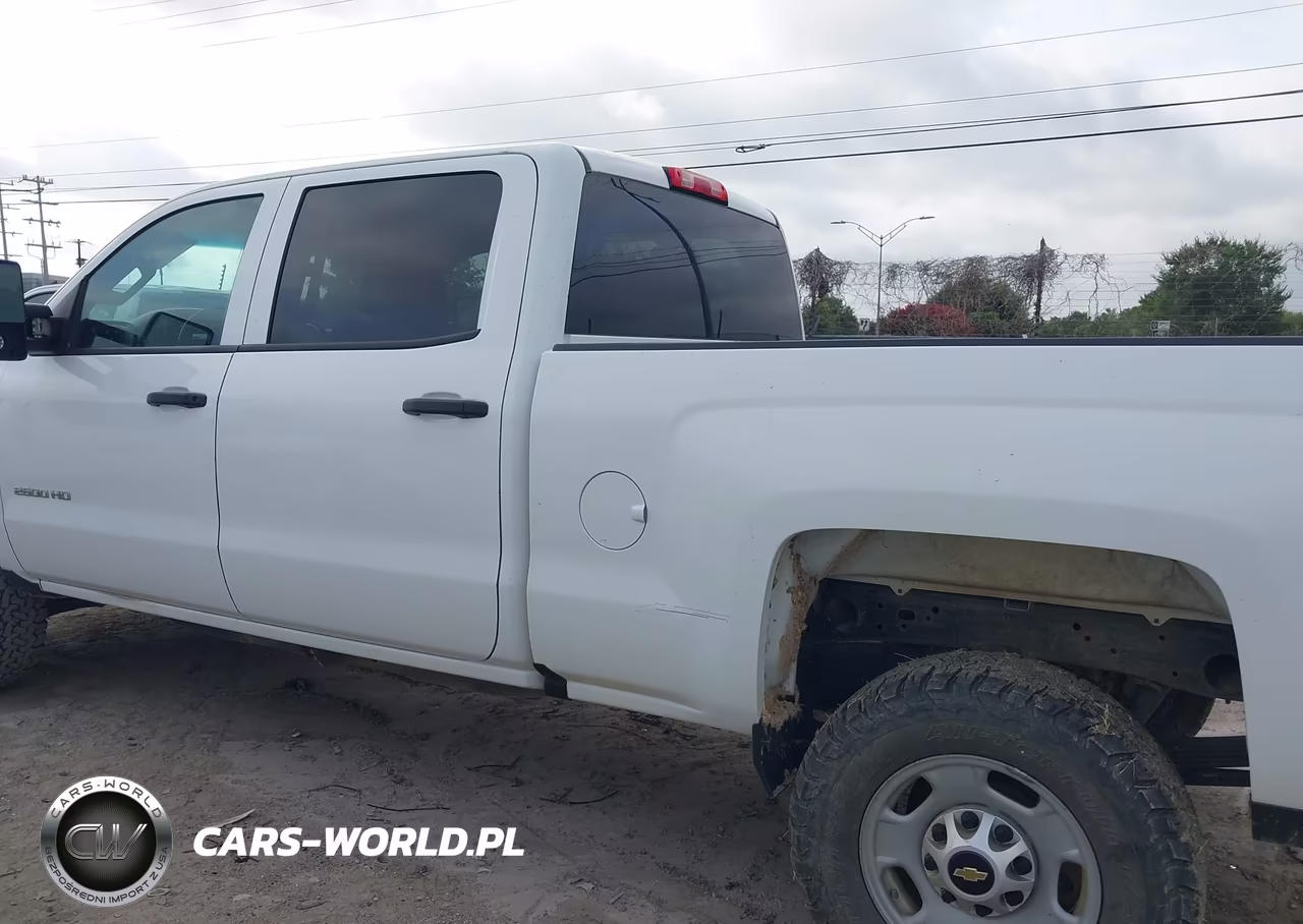 2019 Chevrolet Silverado 2500Hd Wt VIN:1GC1KREG7KF280864 - 14