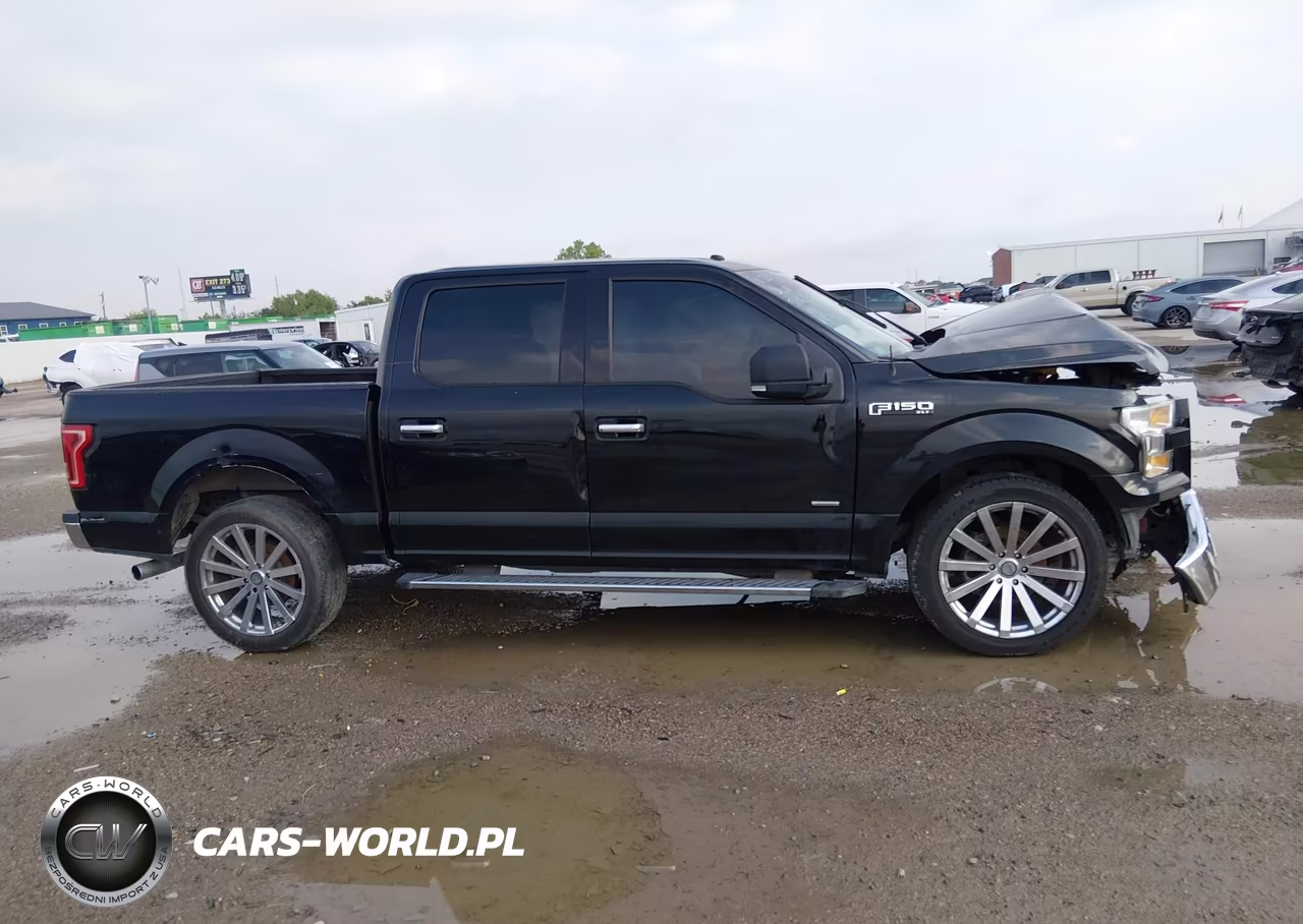 2016 Ford F-150 Xlt VIN:1FTEW1CP9GKD37851 - 13